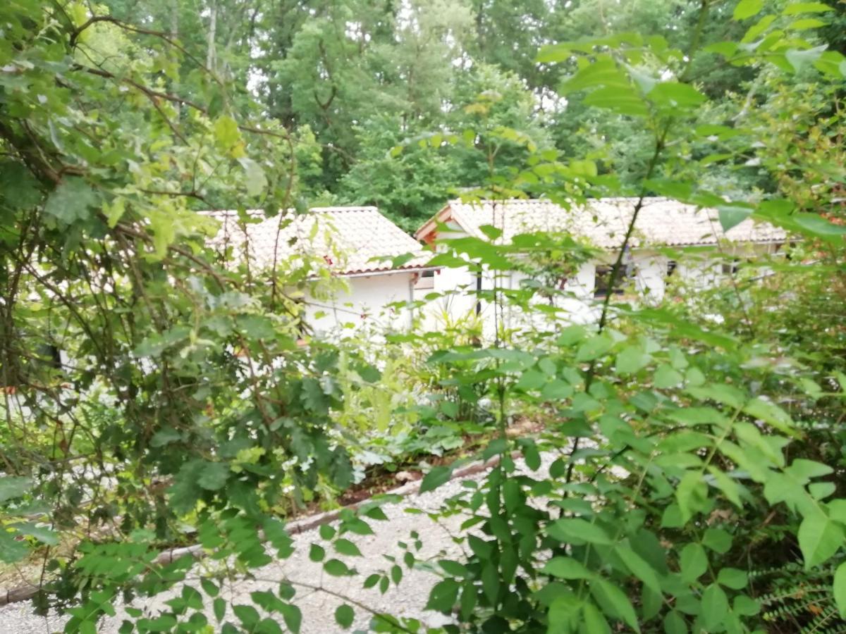 Pause Nature. Maison Ananda A 14 Kms De Toulouse Avec Parking Privatif Lapeyrouse-Fossat Exterior photo